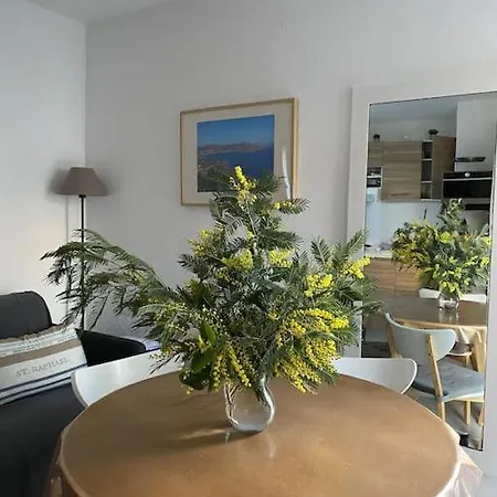 St Raphael 37m2, Piscine, Wifi, Commerces 5mn A Pieds Apartment