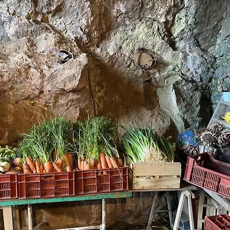 St Raphael 37m2, Piscine, Wifi, Commerces 5mn A Pieds Apartment *