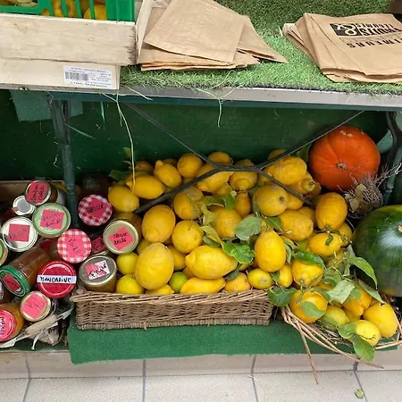 Apartment St Raphael 37m2, Piscine, Wifi, Commerces 5mn A Pieds