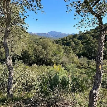 St Raphael 37m2, Piscine, Wifi, Commerces 5mn A Pieds Saint-Raphael (Var)