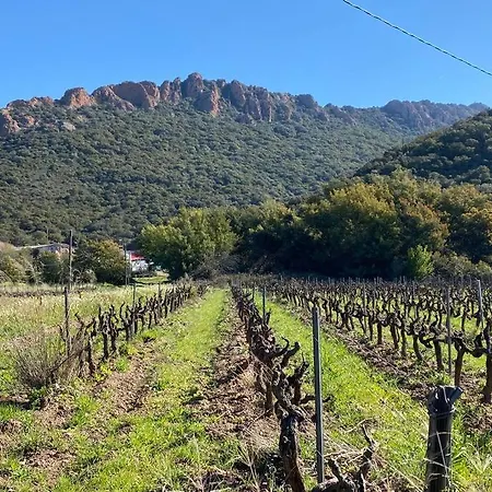 St Raphael 37m2, Piscine, Wifi, Commerces 5mn A Pieds *